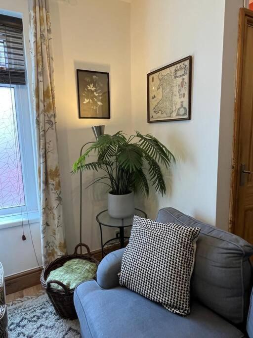 Just The Splott! Sleeps 6, 8 Mins To Stadium. Cardiff Exterior foto